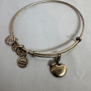 Alex and Ani Silver Apple Charm Bracelet